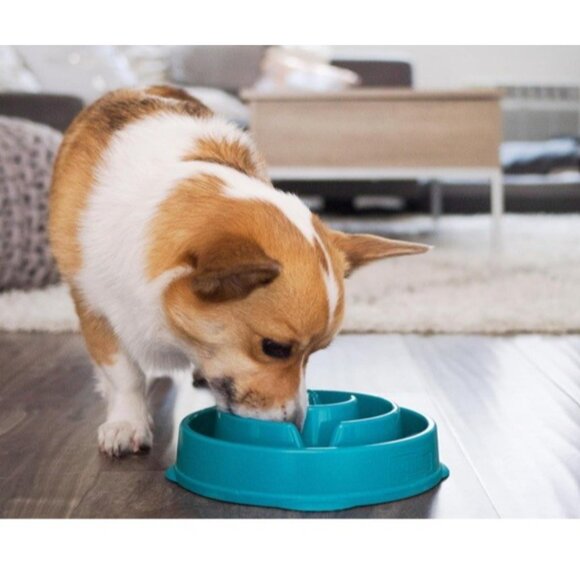 Outward Hound Slo (Slow) Fun Feeder Dog Bowl, Set of 2 Medium Turquoise/Orange - Picture 9 of 13